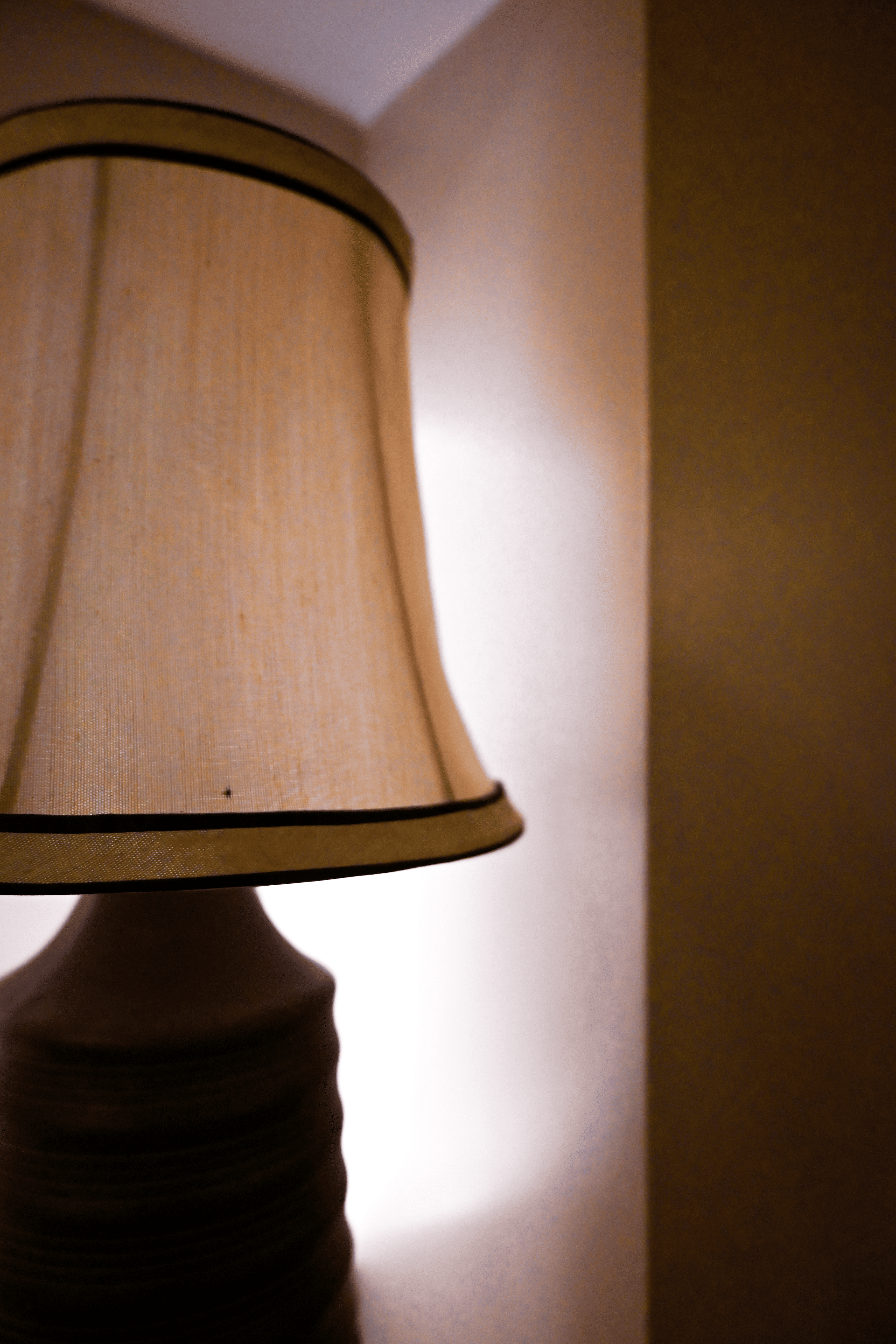 Coiled Reverie - Two Toned Lamp