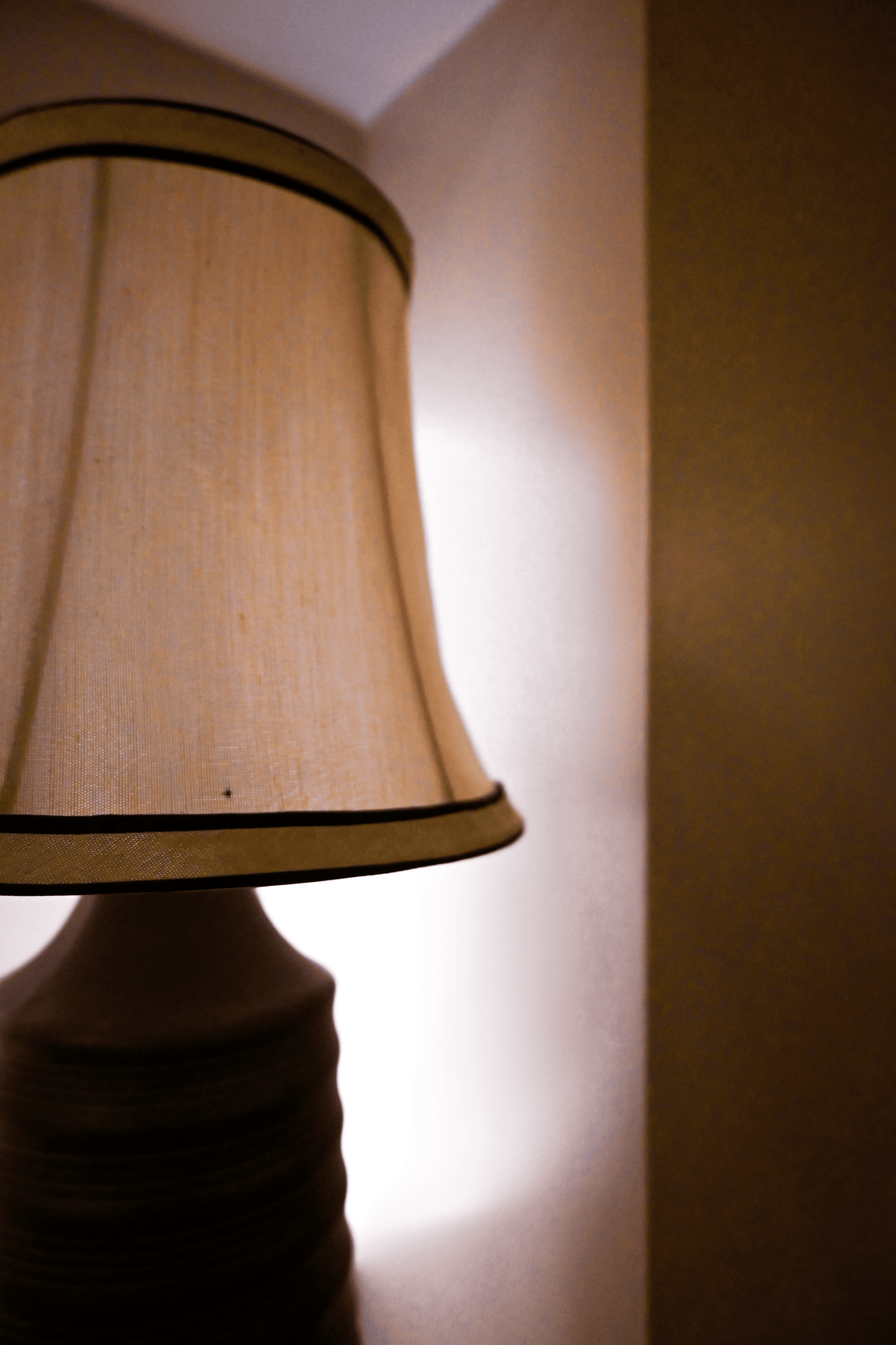 Coiled Reverie - Two Toned Lamp